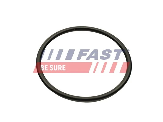 Купити Прокладка дросельної заслінки Renault Scenic II JM0, JM1