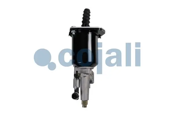 2250261 Cojali 