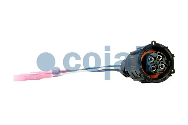 2260447 Cojali 