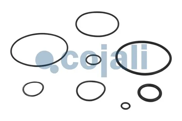 6012033 Cojali 