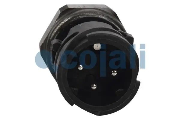  Renault (RVI) 5010143084