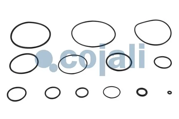  Cojali 6012152 ціна, від 22.44 USD