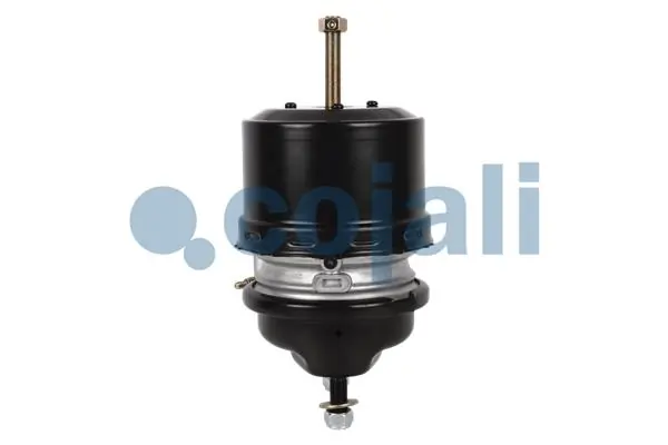 Купити 81504109733 MAN Камера гальмівна