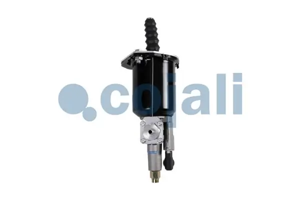 Купити 2250261 Cojali 
