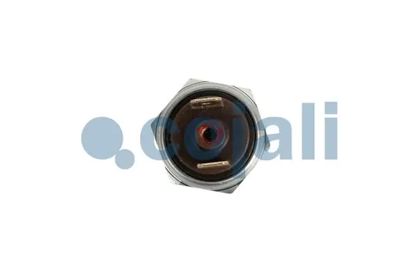 2260960 Cojali 