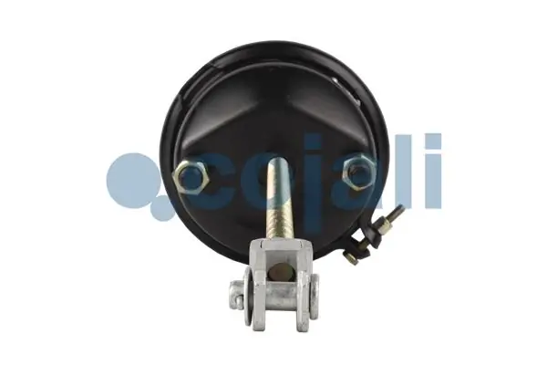 Камера гальмівна 5021170049 Renault (RVI)