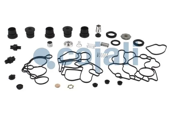 7421586159 Renault (RVI) Осушувач повітря пневматичної системи
