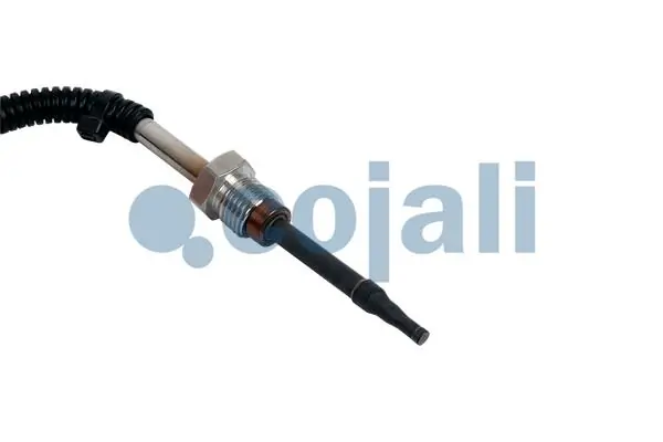 DIN81043 Dinex Датчик температури відпрацьованих газів (ВГ), клапан EGR