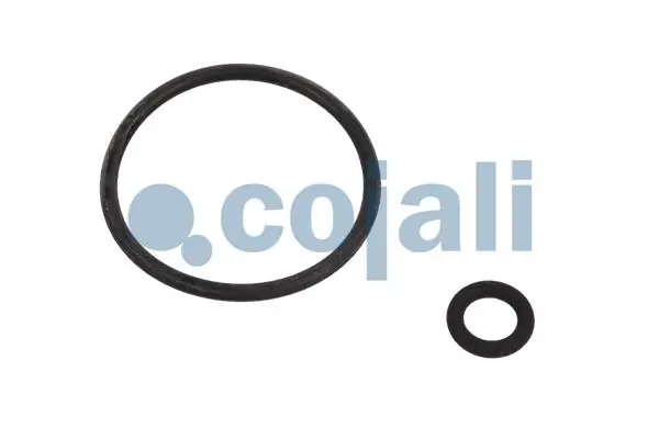 Ремкомплект головного гальмівного крану Cojali 6012256 ціна, від 15.99 USD