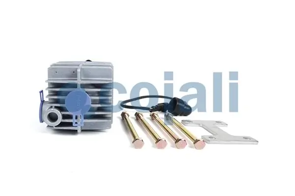 Купити 2480013 Cojali 