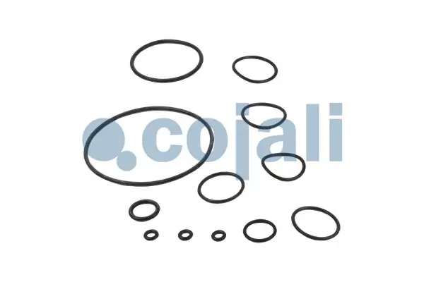 Ремкомплект головного гальмівного крану Cojali 6012030 ціна, від 29.99 USD