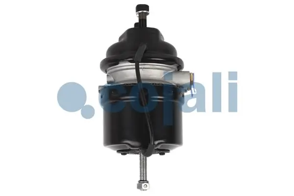 Купити 81504109575 MAN Камера гальмівна