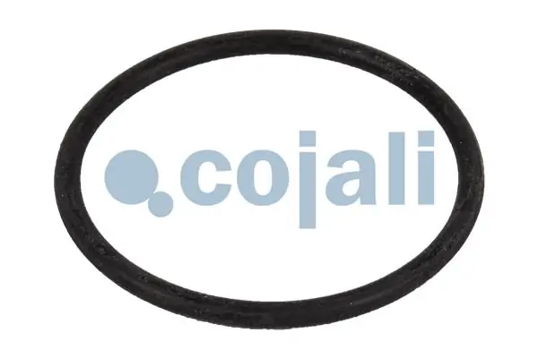 Ремкомплект головного гальмівного крану Cojali 6012160 ціна, від 17.16 USD