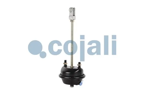 Купити 5021170049 Renault (RVI) Камера гальмівна