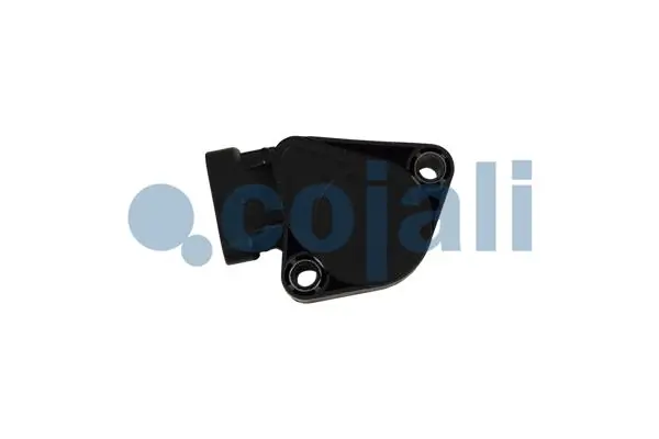 2262033 Cojali 