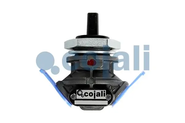 2213205 Cojali 