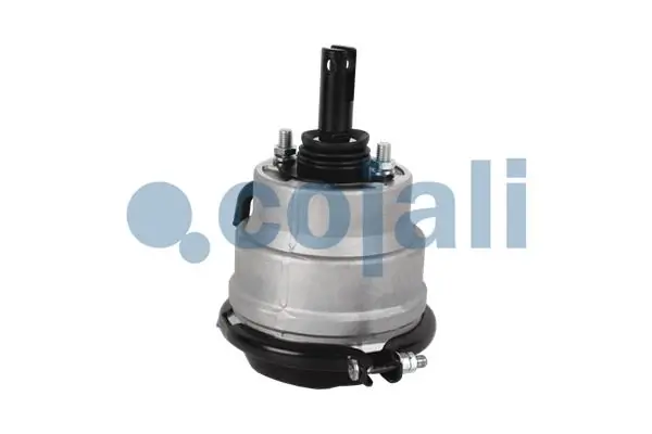 Купити 4842679 Iveco Камера гальмівна