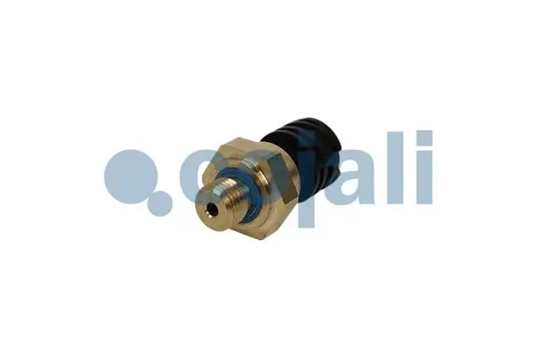 2262032 Cojali 