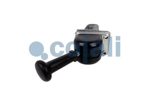  Cojali 2224424