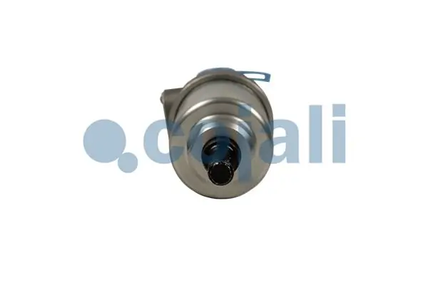 5010450423 Renault (RVI) Прокладка під головку