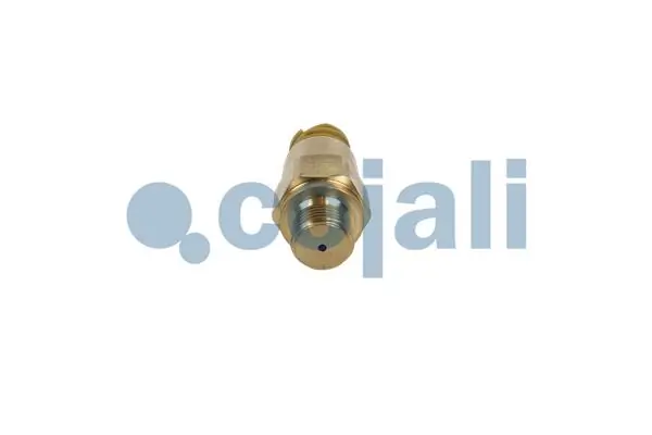 Датчик тиску палива Cojali 2260987 ціна, від 52.23 USD