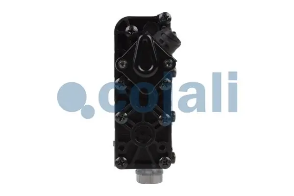  2209456 Cojali