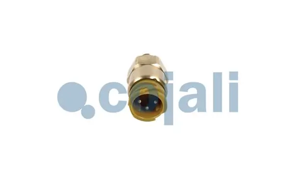 2260987 Cojali Манометри