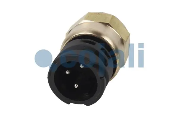 Купити 5001847054 Renault (RVI) Датчик індикатора лампи роздаткової коробки блокавання диференціалу