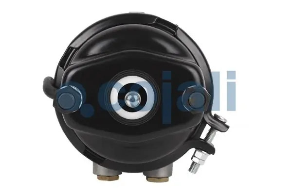 81504109575 MAN Камери пневматичного