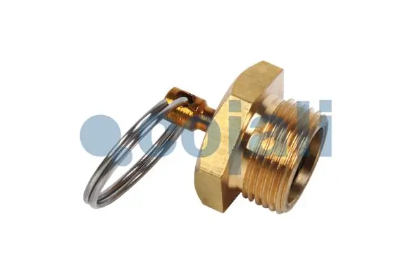 RK67006 Reinkraft Клапан зливу конденсату