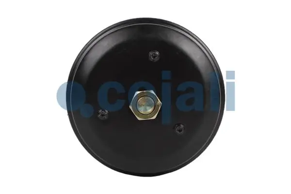 A0154209218 Mercedes Балони повітряні пневмогальм