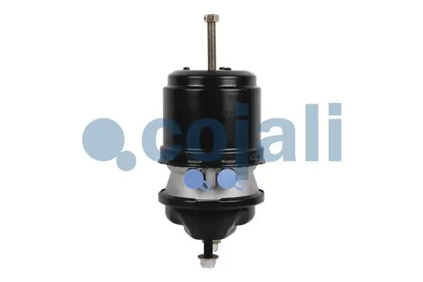 A0154209218 Mercedes Балони повітряні пневмогальм