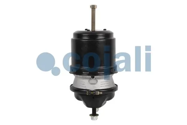 Купити A0154209218 Mercedes Камера гальмівна