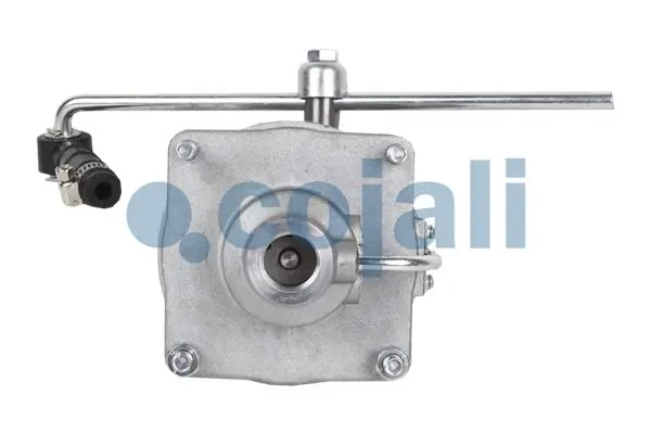 Cojali 2220201