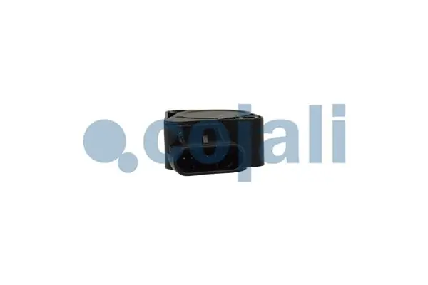 Купити 2262033 Cojali 