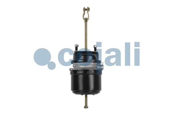 Купити 1459614A DAF Камера гальмівна