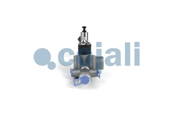 Купити 2314407 Cojali 