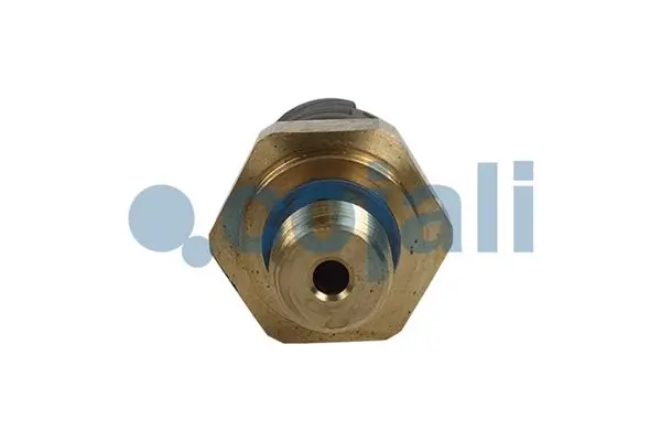 Манометри (показник тиску масла) Cojali 2260929 ціна, від 47.54 USD