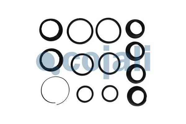 Купити 7420562630 Renault (RVI) Ремкомплект коробки передач