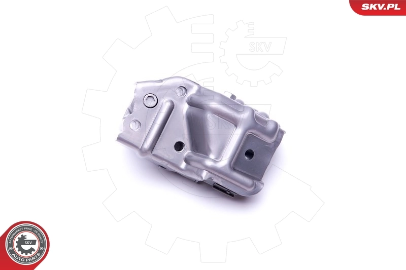 Купити 39SKV054 SKV Регулятор фаз газорозподілу