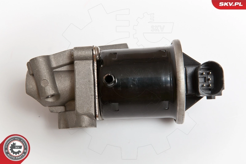 Клапан EGR рециркуляції газів SKV 14SKV074