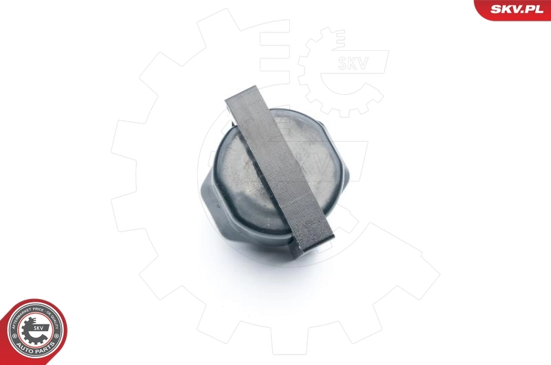 Котушка запалювання Opel 10489421 ціна, від 21.50 USD
