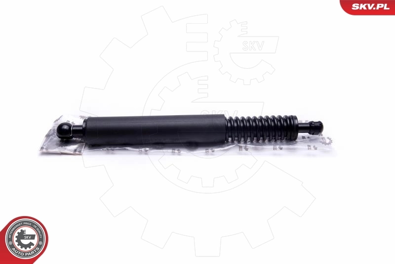 Амортизатор двері задньої Bapmic BF0113480069 ціна, від 27.19 USD