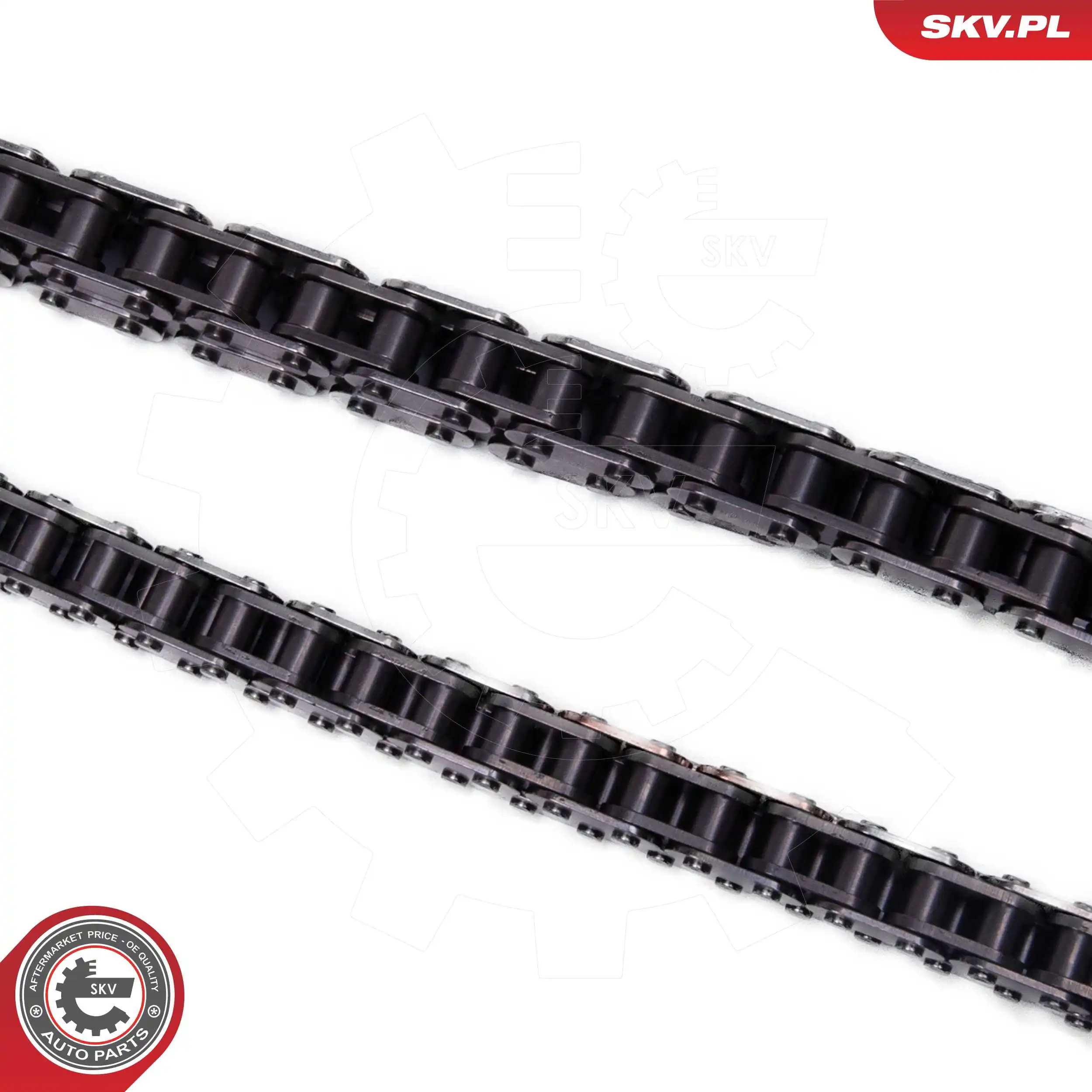 Ланцюг ГРМ, комплект SKV 21SKV250 ціна, від 184.41 USD