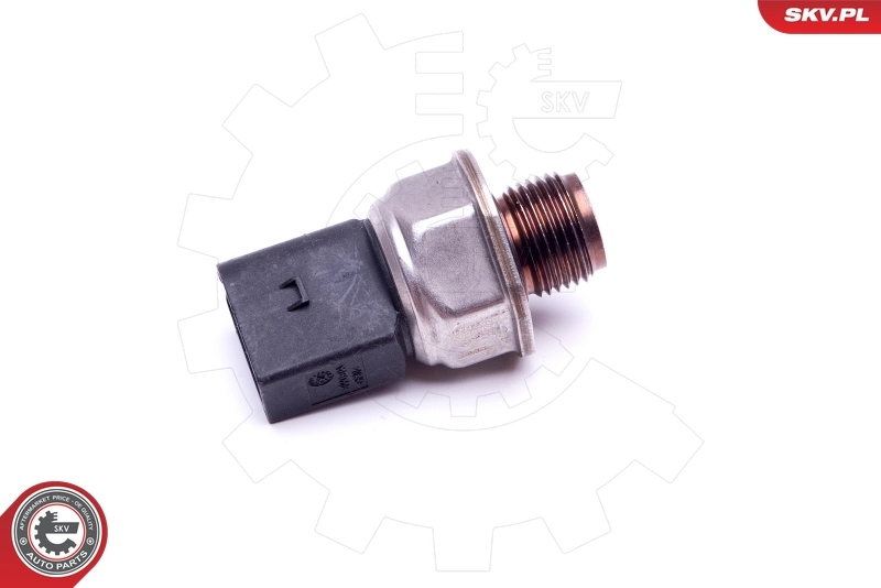 17SKV595 SKV Манометри