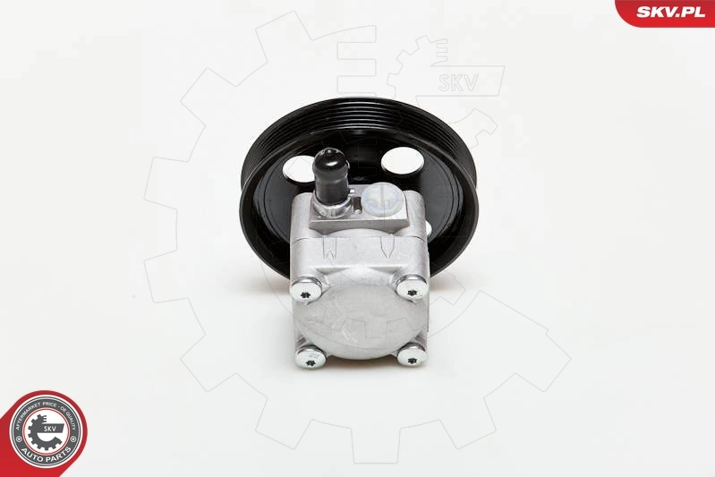 Насос ГПК SKV 10SKV177 ціна, від 99.83 USD