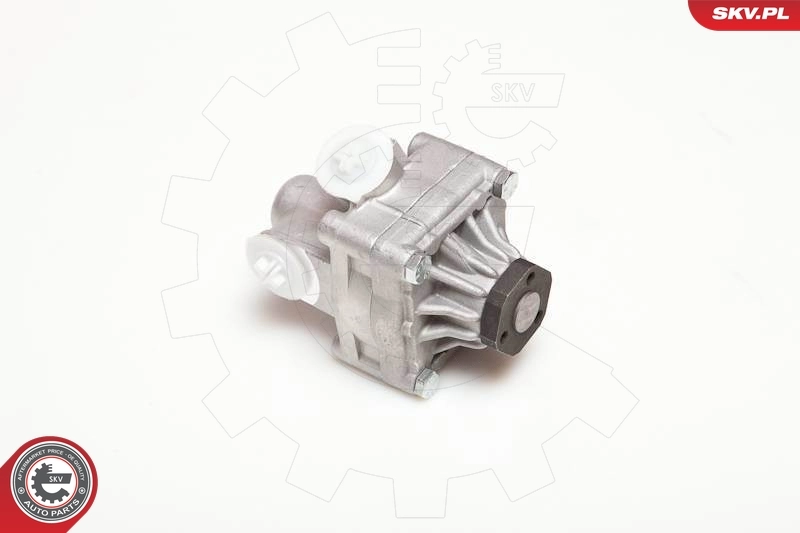 Купити 10SKV017 SKV Насос гідравліки