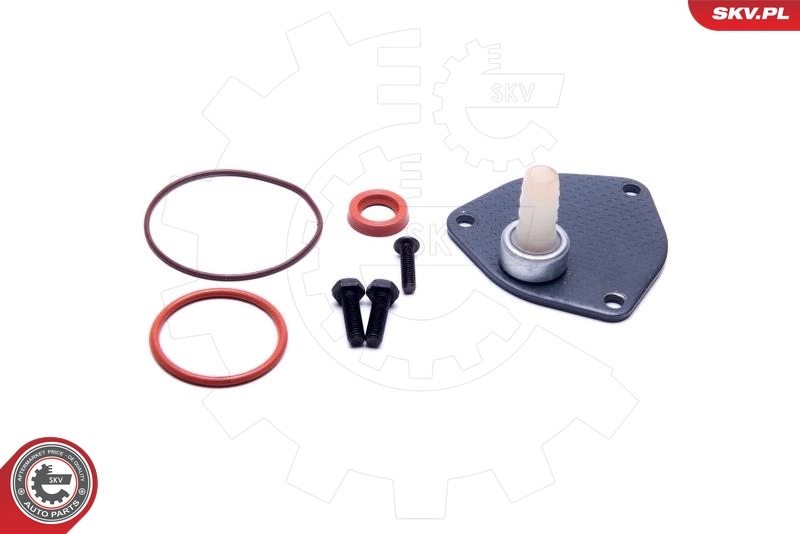 ENT410010 ET Engineteam Ремкомплект вакуумного насоса