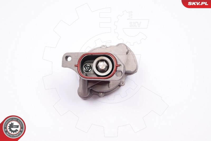 Купити 18SKV013 SKV Вакуумний насос