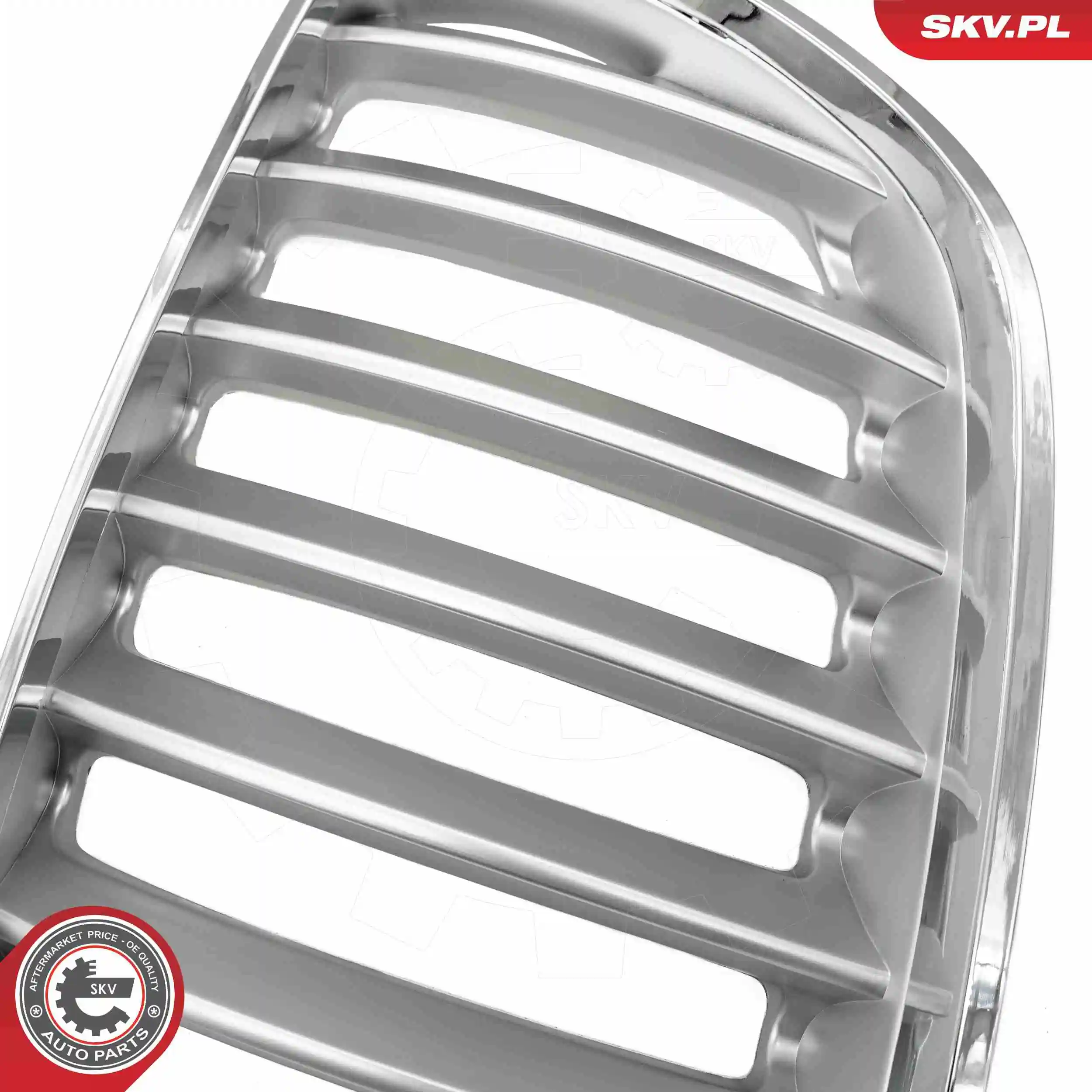 66SKV279 SKV 